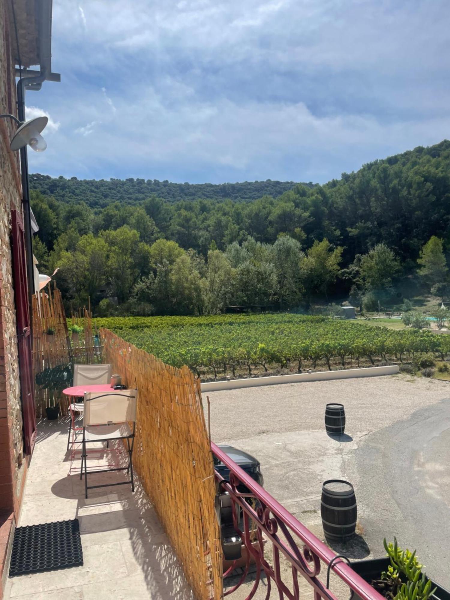 Appartement Au Calme Au Milieu Du Vignoble De Gigondas Exterior photo